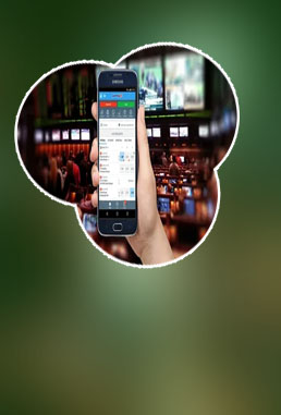 Sports betting reddit